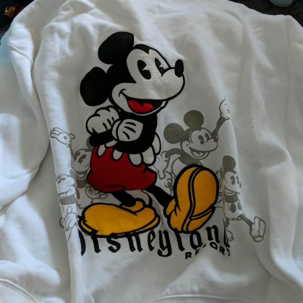 Disney Mickey mouse Resort hoodie